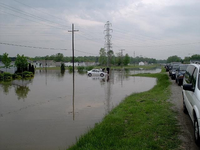 Picture 424.jpg